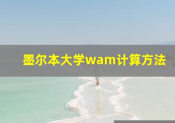 墨尔本大学wam计算方法