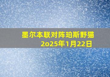 墨尔本联对阵珀斯野猫2o25年1月22日