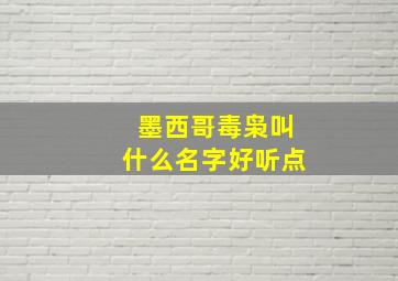 墨西哥毒枭叫什么名字好听点