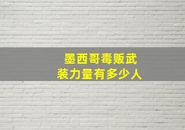 墨西哥毒贩武装力量有多少人