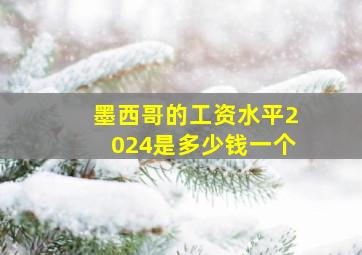 墨西哥的工资水平2024是多少钱一个