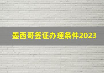 墨西哥签证办理条件2023