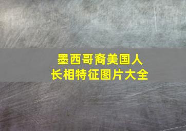 墨西哥裔美国人长相特征图片大全