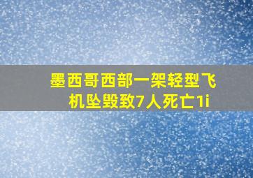 墨西哥西部一架轻型飞机坠毁致7人死亡1i