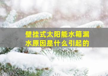 壁挂式太阳能水箱漏水原因是什么引起的