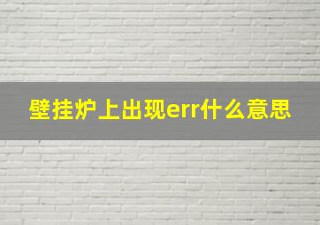 壁挂炉上出现err什么意思