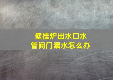 壁挂炉出水口水管阀门漏水怎么办