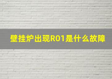 壁挂炉出现R01是什么故障