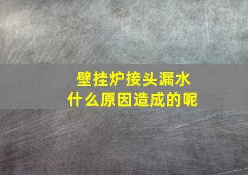 壁挂炉接头漏水什么原因造成的呢