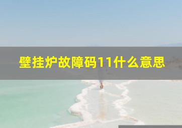 壁挂炉故障码11什么意思