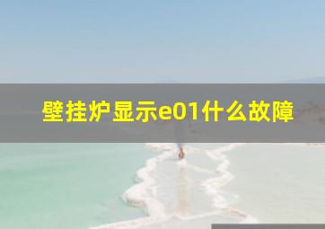 壁挂炉显示e01什么故障