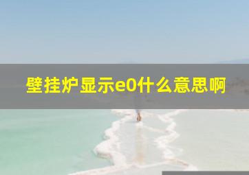 壁挂炉显示e0什么意思啊