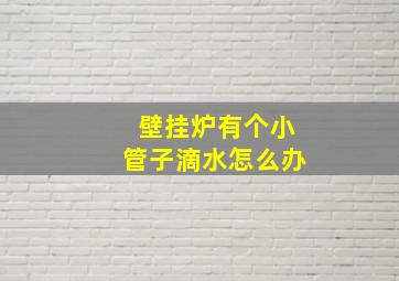 壁挂炉有个小管子滴水怎么办