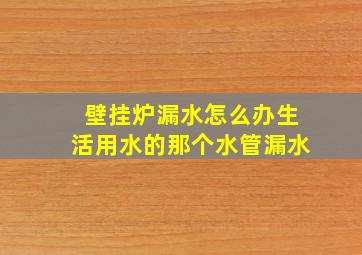 壁挂炉漏水怎么办生活用水的那个水管漏水