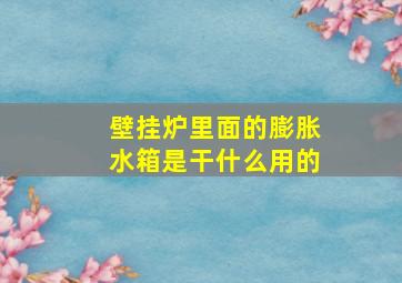 壁挂炉里面的膨胀水箱是干什么用的