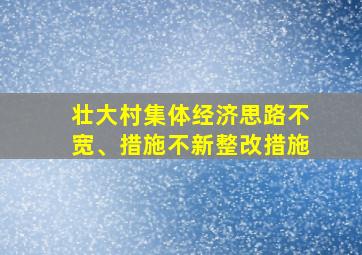 壮大村集体经济思路不宽、措施不新整改措施