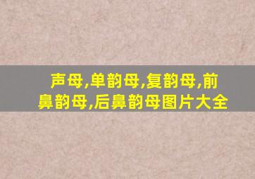 声母,单韵母,复韵母,前鼻韵母,后鼻韵母图片大全