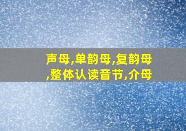 声母,单韵母,复韵母,整体认读音节,介母