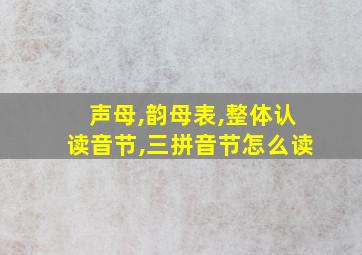 声母,韵母表,整体认读音节,三拼音节怎么读