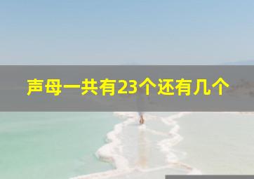 声母一共有23个还有几个