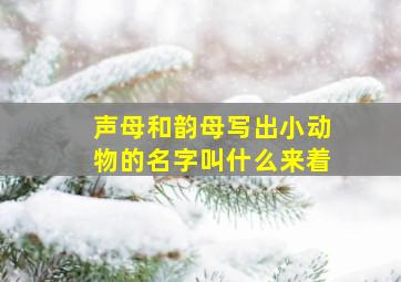 声母和韵母写出小动物的名字叫什么来着