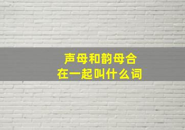 声母和韵母合在一起叫什么词