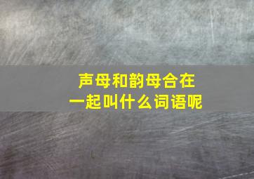 声母和韵母合在一起叫什么词语呢