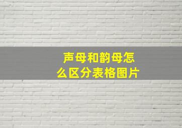 声母和韵母怎么区分表格图片