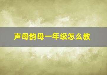 声母韵母一年级怎么教