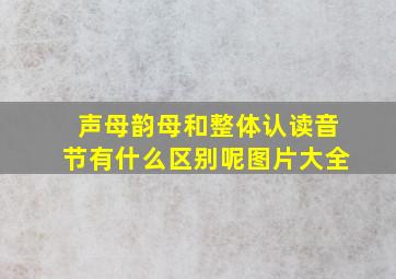 声母韵母和整体认读音节有什么区别呢图片大全