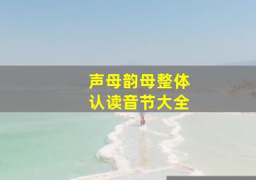 声母韵母整体认读音节大全