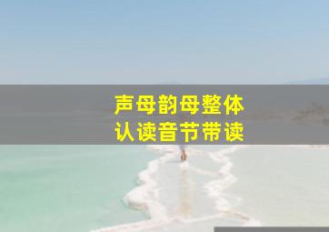 声母韵母整体认读音节带读