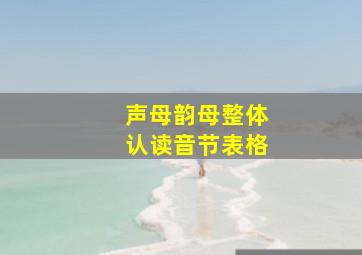 声母韵母整体认读音节表格