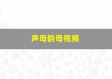 声母韵母视频