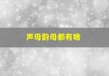 声母韵母都有啥