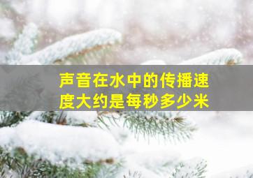 声音在水中的传播速度大约是每秒多少米