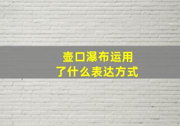 壶口瀑布运用了什么表达方式