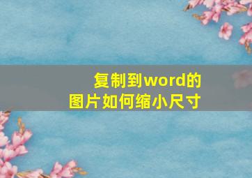 复制到word的图片如何缩小尺寸