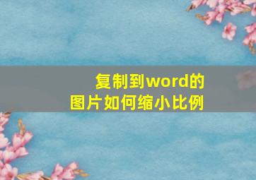 复制到word的图片如何缩小比例