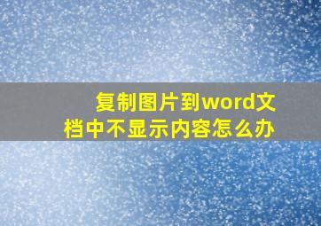 复制图片到word文档中不显示内容怎么办