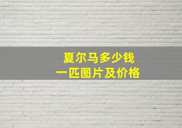 夏尔马多少钱一匹图片及价格