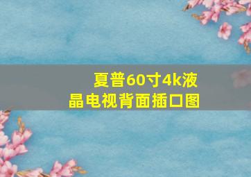 夏普60寸4k液晶电视背面插口图