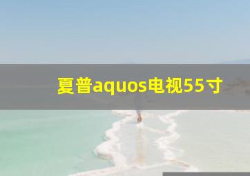 夏普aquos电视55寸