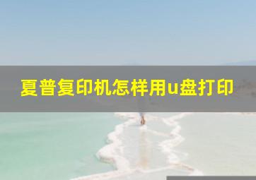 夏普复印机怎样用u盘打印