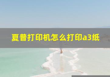 夏普打印机怎么打印a3纸