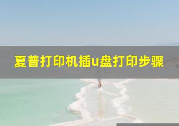 夏普打印机插u盘打印步骤