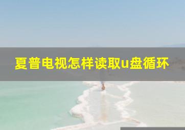 夏普电视怎样读取u盘循环