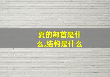 夏的部首是什么,结构是什么