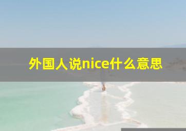 外国人说nice什么意思