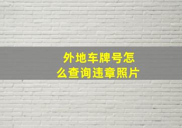 外地车牌号怎么查询违章照片